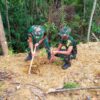 Brigif TP 32/Mangkalihat Tanam 200 Pohon di Bengalon, Wujudkan Aksi Hijau Selamatkan Lingkungan